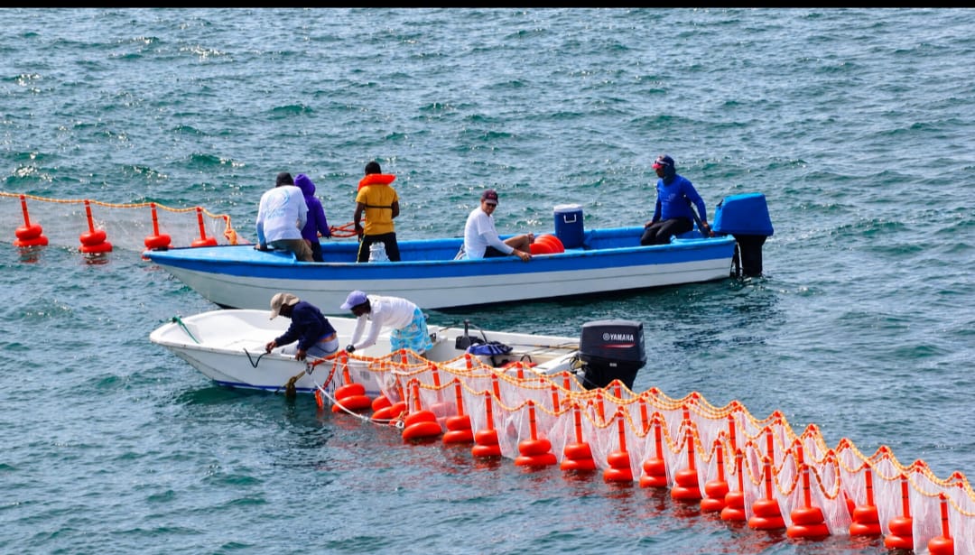 Impulsa The Ocean Cleaner México soluciones integrales para contener el sargazo